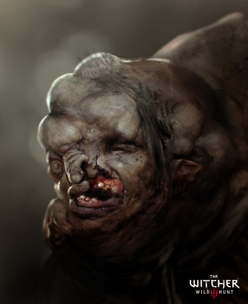 Illustration for article titled The Art Of The Witcher 3